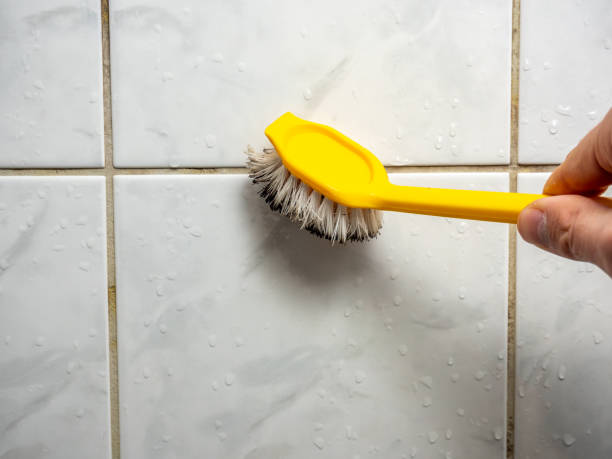 Best Fast Mold Removal  in Hudson Oaks, TX