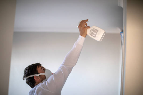 Best Home Mold Removal  in Hudson Oaks, TX