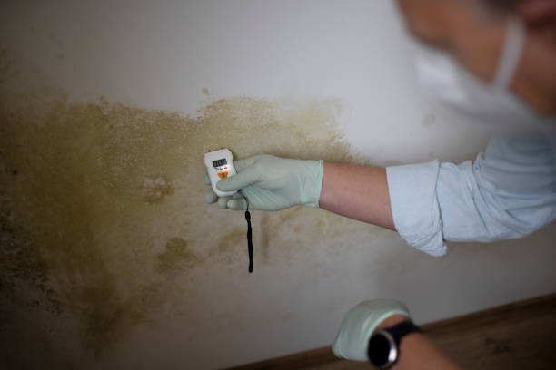 Best Mold Testing  in Hudson Oaks, TX