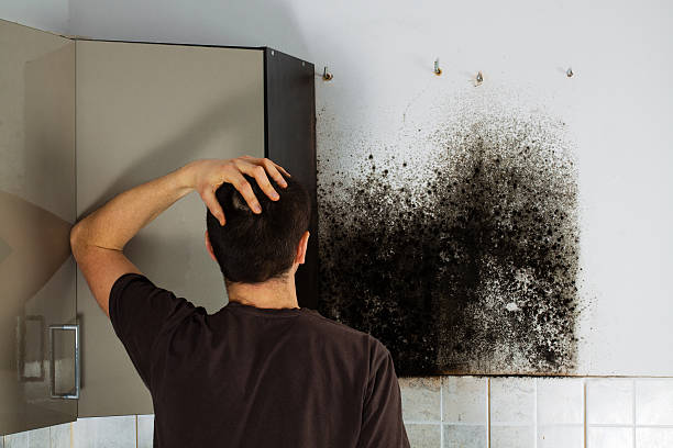 Best Office Mold Removal Services  in Hudson Oaks, TX